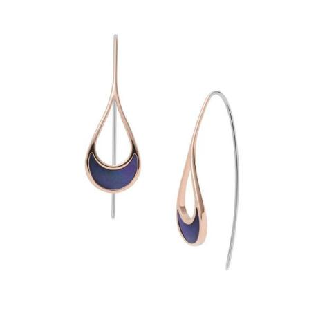 Серьги Skagen SKJ1361791