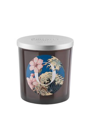 651354f0-115e-48f3-b4c5-d7fd213bd27d