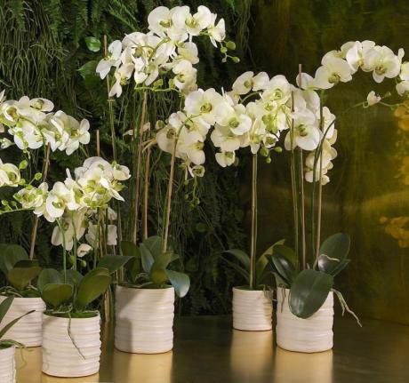 Gorshok-dlya-orhidei-6