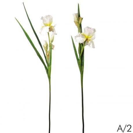 НоменклатураПрисоединенныеФайлы