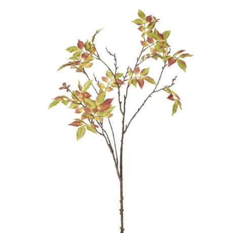 6363236355dbeb9162989f_original