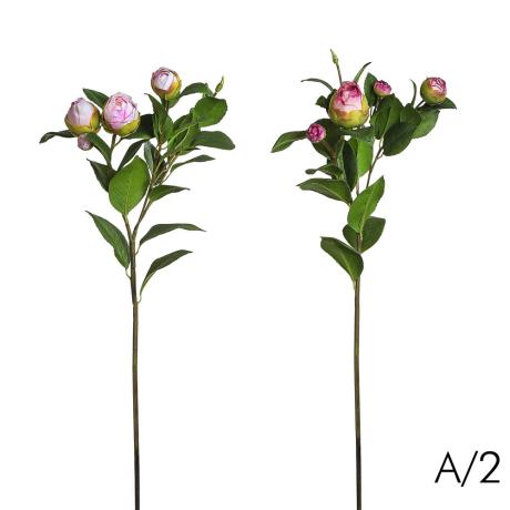 2220815075c75096e03829_original