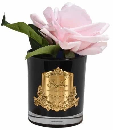 116081_1668509446adcaa96ace7cf0c21f112c7be542ba32