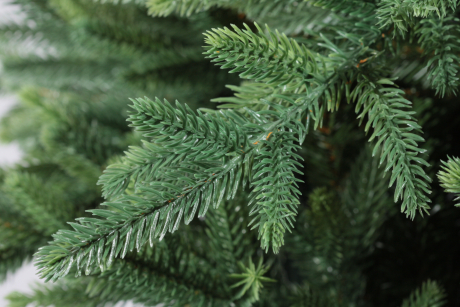 bbe0a1448c67b281e52cad9087df337f