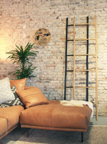 3230-interior-08-A-TropicalBirds_500x