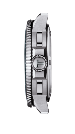 T120.407.11.081.01_4